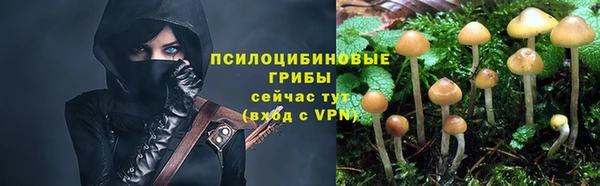 дмт Заводоуковск