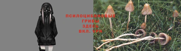 соль курить ск Александровское