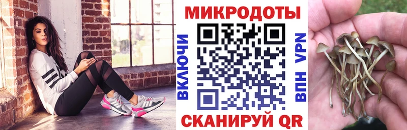 MEGA онион  Рошаль  Псилоцибиновые грибы Magic Shrooms  хочу наркоту 